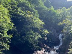 -云岫谷游猎自然风景区