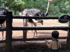 -海南热带野生动植物园