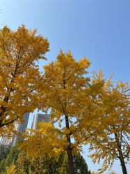 点击看大图 -大望京儿童游乐场