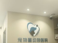 -宠物星动物医院·眼科·异宠·猫科(江南大道总院)