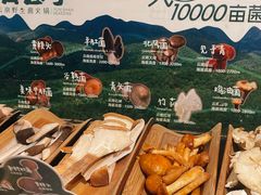 -芸山季·云南野生菌火锅(人民广场来福士店)