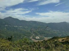 -盐洲岛
