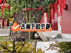 -长春观