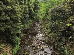 -凤栖山