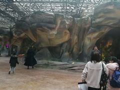 -杭州开元森泊度假乐园