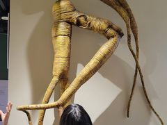-广东中医药博物馆