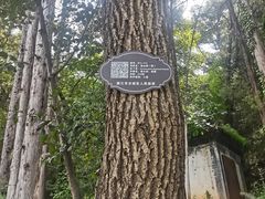 -黑龙潭公园