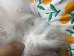 -四月宠物医院·猫专科·心脏专科·内科(转塘店)