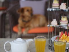 -观海酒廊(惠州金海湾喜来登度假酒店)