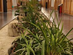 -玖合素手·轻养足浴SPA(云纺大悦城店)