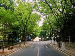 -八大关景区