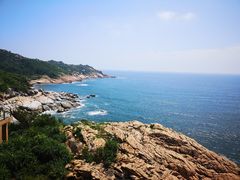 -广东惠东海龟国家级自然保护区