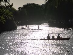 -新江湾城公园