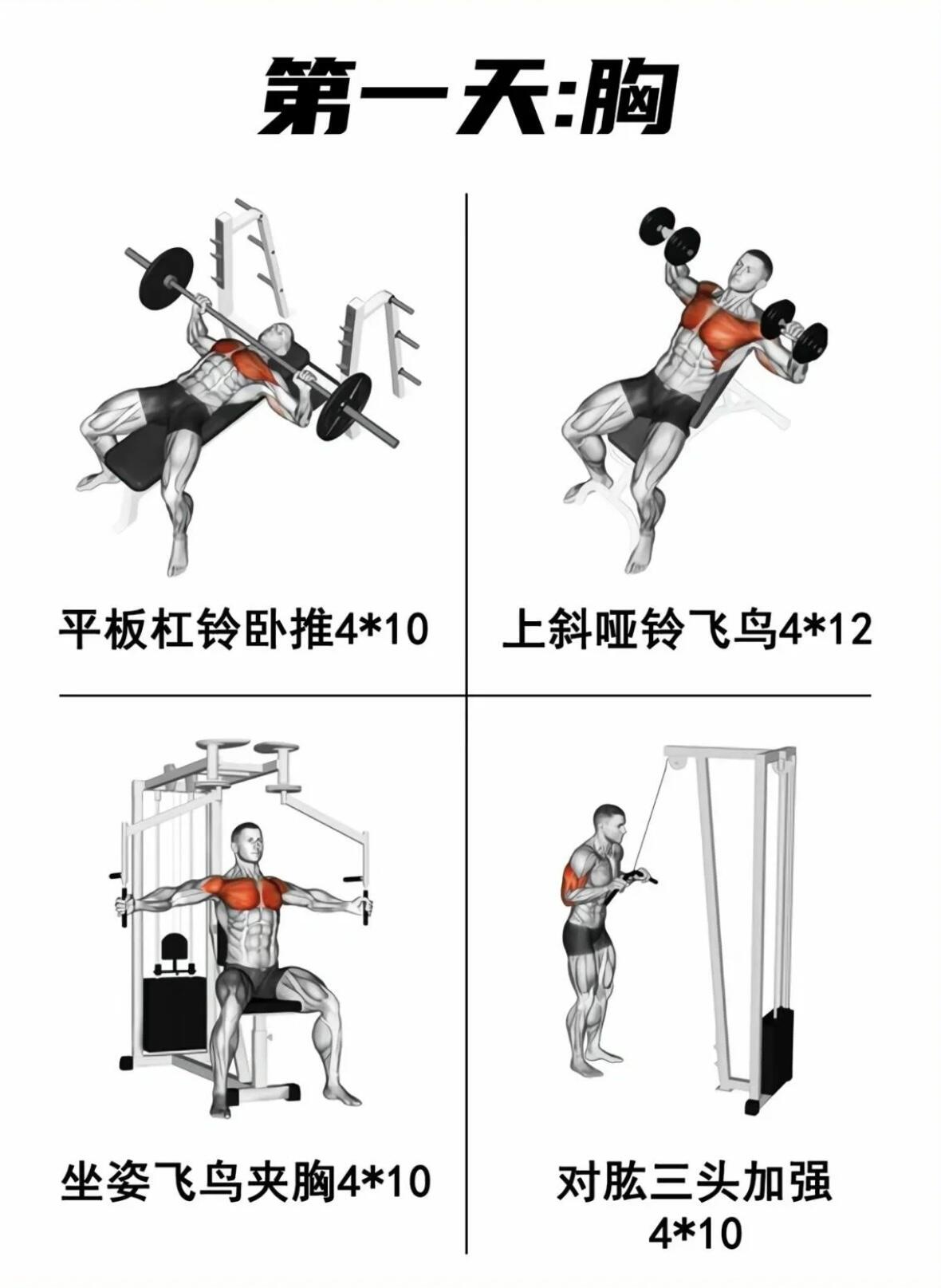 10个经典健身动作图片图片