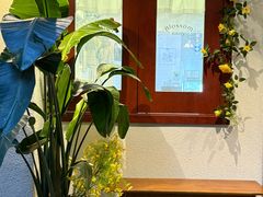 -花间烘焙BLossom Bakery