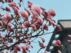 -首都图书馆-咖啡厅