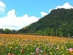 -贵阳市花溪国家城市湿地公园