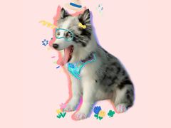 -盛江山自助料理(奥莱锦辉购物广场店)