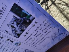 -青藏高原野生动物园