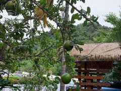 -海南槟榔谷黎苗文化旅游区