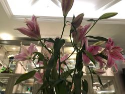 -法国安杰玛SPA会所