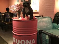 -百好乐宠物友好餐厅(朝外大街店)