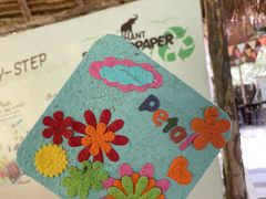 -大象粑粑造纸公园