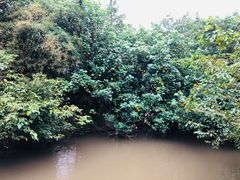 -白沙门生态公园