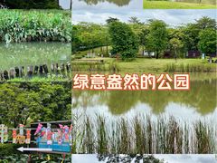 -王借岗森林公园