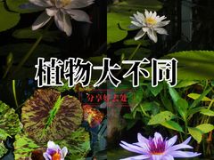 -国家植物园南园