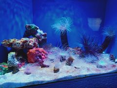 -上海海洋水族馆