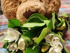 -融园咖啡馆(昙华林店)