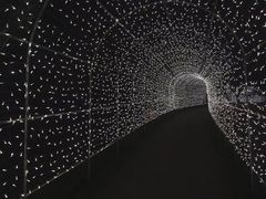 -秀丽东方