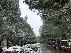 -溱湖国家湿地公园