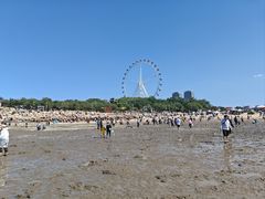 -辽宁团山国家级海洋公园