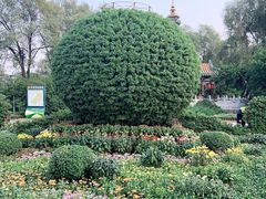 -沈阳植物园