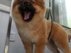 -北京恒爱动物医院(清景园分院)