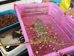 -拉威海鲜市场