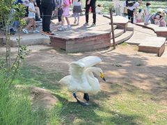 -朝阳公园游乐园