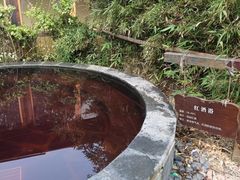 -仁爱团泊湖温泉中心