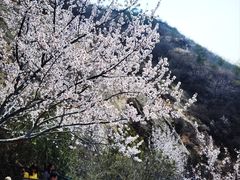 -古崖居风景名胜区