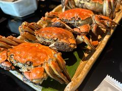 -花潮料理艺食馆(SM新生活广场店)