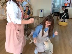-Husky Go! 哈士奇体验馆·宠物咖啡厅狗咖