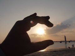 -东郊椰林