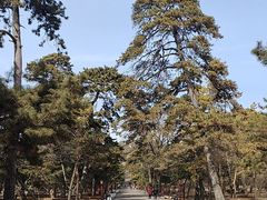 -沈阳市东陵公园