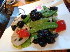 -YAFEE雅菲·粤菜·湘菜·融合菜(魏公村店)
