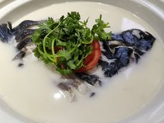 -农乐园食府(梅城镇店)