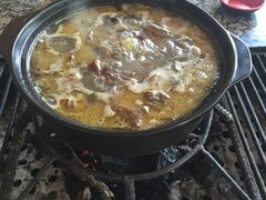 -蘑统田下·野生菌火锅