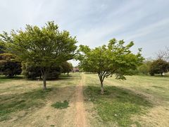 -钟山体育运动公园