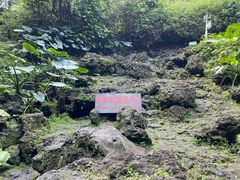 -海口火山口国家地质公园